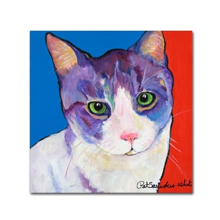 Pat Saunders-White 'Frenchy' Canvas Art,24x24